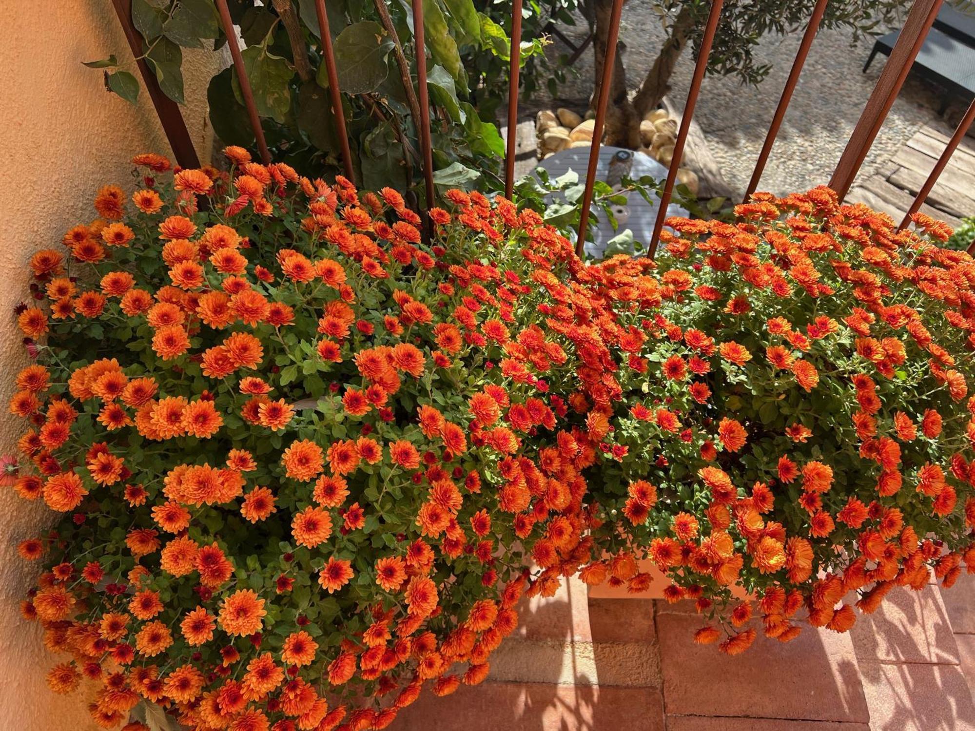 Les Vinyes Alojamiento Rural Boutique & Spa Vilardida Екстер'єр фото